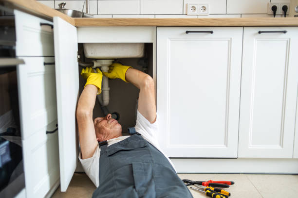 Best Plumbing Inspection Services  in Chino Valley, AZ